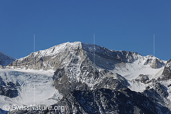 Foto: Schöllihorn
Übergänge: Links das Bruneggjoch, rechts das Schöllijoch.
Gletscher: Links der Abberggletscher, rechts der Schölligletscher.