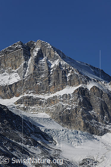 Foto: Üssers Barrhorn und Unter Stelligletscher.