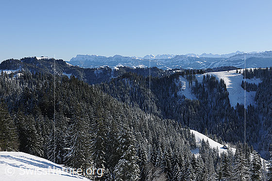 Foto: Winterlicher Tannenwald im Trub, Emmental. Im Hintergrund sind der Napf, die Voralpenkette mit Pilatus, Mittaggüpfi, Stäfeliflue, Schimbrig und die Alpengipfel zu sehen.