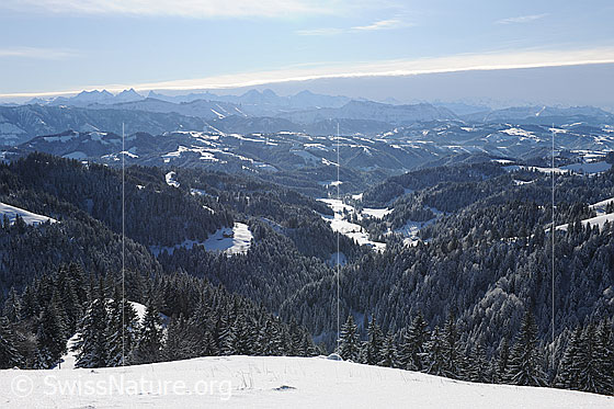 Foto: Verschneite Tannenwälder in der Hügellandschaft des Emmentals. Die Winterlandschaft ist von zahlreichen Hügelzügen und steilen Gräben geprägt. Im Hintergrund sind die Voralpengipfel der Schrattenfluh, Hohgant, Sieben Hengste und die Alpenkette der Berner Alpen zu sehen. Ein mächtiges Wolkenfeld einer Wetterfront bedeckt einen Teil des blauen Himmels.