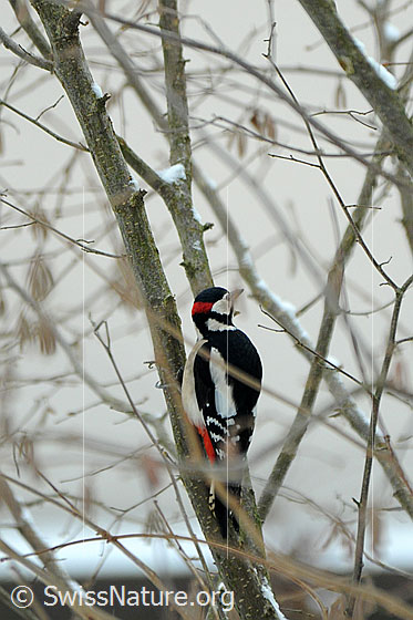 Photo: 