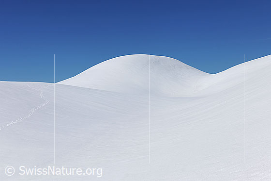 Foto: Formen in Schneelandschaft. Schneebedecktes kleines Hochtal und liebliche, gerundete  Bergrücken. Der Himmel ist blau und die Schneefläche bis auf eine Wildspur unberührt.