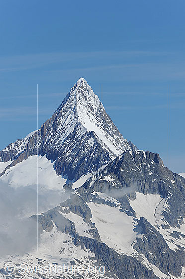 Foto: Finsteraarhorn und Wasenhorn
Gletscher: Hangendgletscher