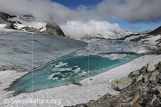 Foto: Türkisfarbener Gletschersee mit Wolkenstimmung. Urtümliche Gletscherlandschaft am Chüebodengletscher mit noch jungem, rasch grösser werdendem Chüebodensee. Auf dem Bergsee sind Eisschollen und eine schmelzende Eisdecke zu sehen. Im klaren Wasser ist Gletschereis erkennbar. Die Eisoberfläche des Gletschers ist ausgeapert und bildet eine scharfe Kante dem Seeufer entlang. Im Vordergrund sind die Felsblöcke einer Geröllhalde zu sehen.

