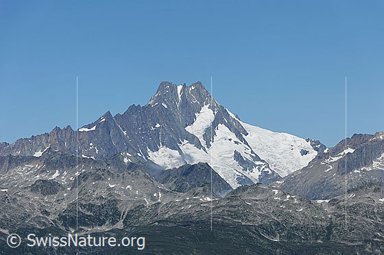 Foto: Hugihorn, Klein Latueraarhorn, Lauteraarhorn, Schreckhorn
Gletscher: Lauteraargletscher