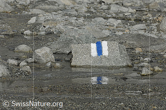 Foto: Bergwanderweg in Geröll mit weiss-blau-weisser Markierung auf Felsblock.