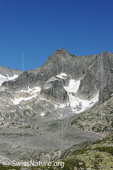 Foto: Gletschhorn von S.
Rechts die Überreste des Sunniggletschers.