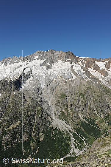 Foto: Dammastock, Schneestock, Eggstock und Rotfirn.
Die Gipfel Rhonestock - Dammastock - Schneestock - Eggstock und die Gletscher
Dammagletscher - Rotfirn - Mässplanggstockfirn - Schattmigstockfirn liegen hoch über den steil abfallenden Felswänden und Grashängen. Im Talgrund ist die Chelenreuss zu sehen.