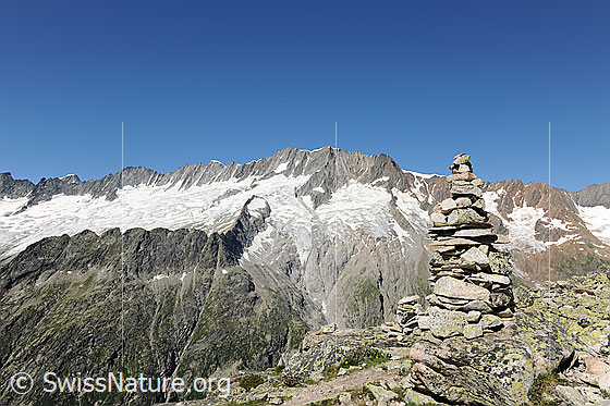 Foto: Dammastock-Massiv mit Steinmann. Darüber blauer Himmel.
Gipfel: Gletschhorn, Galenstock, Tiefenstock, Rhonestock, Dammastock, Schneestock und Eggstock.
Gletscher: Dammagletscher und Rotfirn.