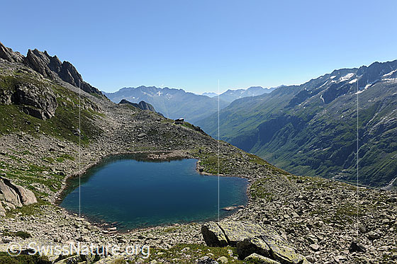 Foto: Bergsee mit blauem Wasser und umgeben von Felsblöcken, Gras und Geröll. An der Hangkante ist die Bergseehütte zu sehen.