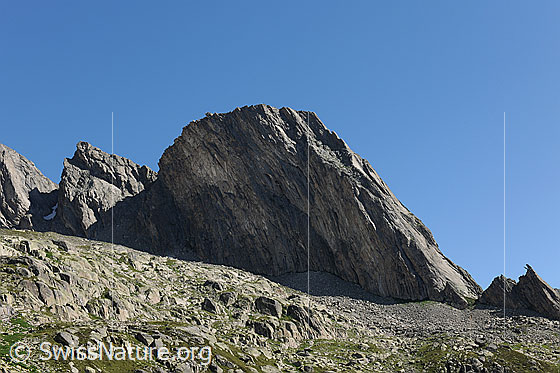 Foto: Bergseeschijen mit interessant geschichteten Felswänden im Klettergebiet am Bergsee, Region Göscheneralp.