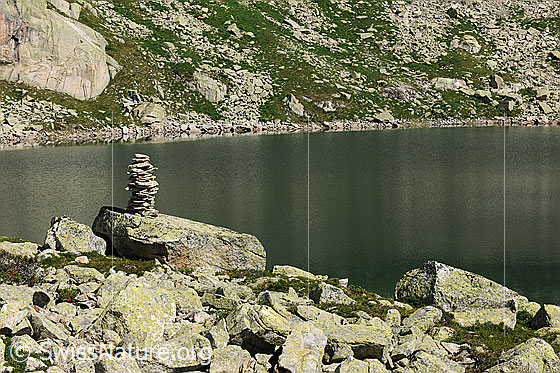 Foto: Steinmann am Bergsee. Felsblöcke unterschiedlicher Grösse säumen das Ufer.