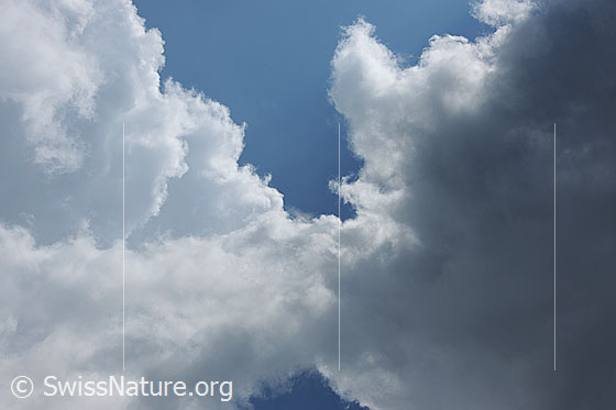Foto: Wolkenkuss