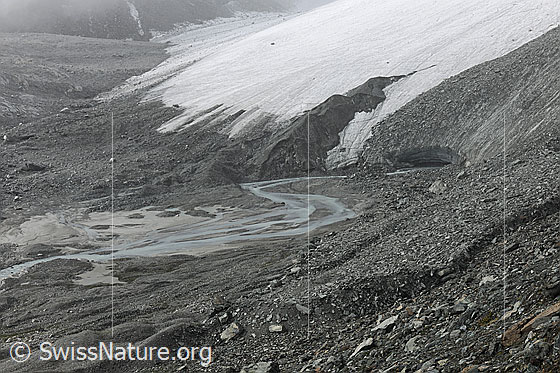 Foto: Gletscherbach und Gletschertor des Schwarzberggletschers. Der Bach windet sich durch das Geröll im Gletschervorfeld der urtümlichen Gletscherlandschaft. Die Gletscherzunge endet flach und das Gletschereis über dem Tor ist mit Geröll bedeckt (= Obermoräne).
