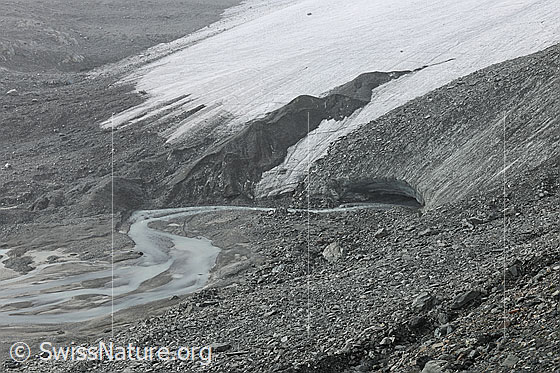 Foto: Gletschertor am Schwarzberggletscher. Die weisse Gletscherzunge endet flach in der grauen Gerölllandschaft des Gletschervorfelds mit Gletscherbach. Über dem Tor ist das Gletschereis mit Geröll bedeckt (= Obermoräne).
