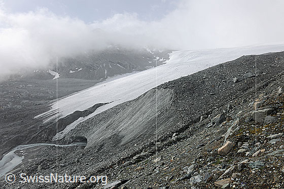 Foto: Schwarzberggletscher: Zunge mit Gletschertor und Gletscherbach. Oberhalb des Gletschertors ist eine Eiswand zu sehen. Weiter rechts eine Obermoräne. Über der urtümlichen Gletscherlandschaft hängen Restwolken.

