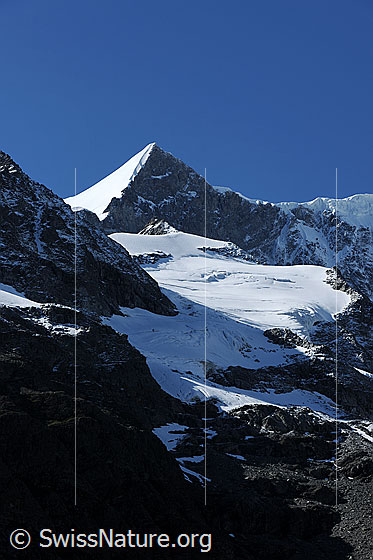 Foto: Ochs (Klein Fiescherhorn) mit sonnenbeschienener Firnflanke. 
Berglandschaft mit Licht und Schatten.