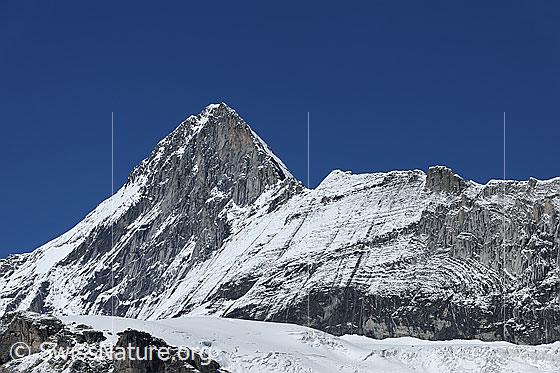 Foto: Eiger von E und Mittellegi.
Am Fusse der Felswände des Mittellgeigrats verläuft der Challifirn.