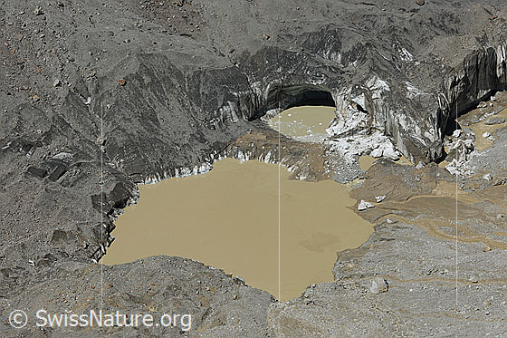Foto: Gletschersee im unteren Grindelwaldgletscher. Das Gletschereis ist mit Geröll bedeckt und einzelne Eisbrocken sind abgebrochen. Die braune Farbe des Wassers stammt von Erdreich, welches durch Murgänge in den See gelangte.
