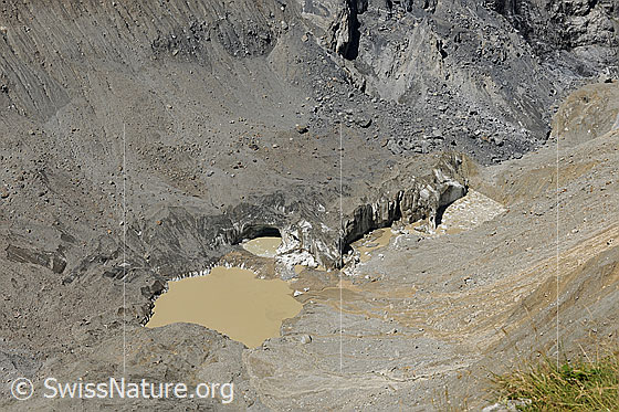 Foto: Murgang in den Gletschersee am unteren Grindelwaldgletscher. Das mitgeführte Erdreich verursachte die braune Farbe des Sees.
