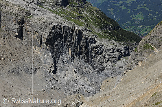 Foto: Der Bergsturz am Eiger, Grindelwald. Ein heller Felsturm vor dunkler Felswand zeugt von der Schlossplatte, welche in den Jahren 2006 bis 2008 in mehreren Felsstürzen (als Folge des Gletscherschwunds) abgebrochen ist. Unter der Gerölldecke liegt Toteis. Rechts eine von Murgängen gezeichnete Bergflanke.
