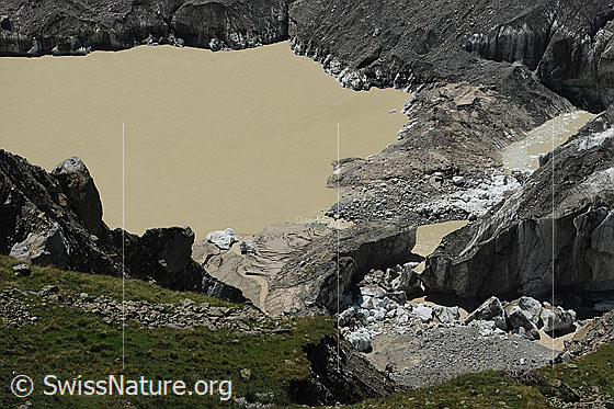 Foto: Gletschersee im unteren Grindelwaldgletscher. Das Gletschereis ist mit Geröll bedeckt und einzelne Eisbrocken sind abgebrochen. Die braune Farbe des Wassers stammt von Erdreich, welches durch Murgänge in den See gelangte.
