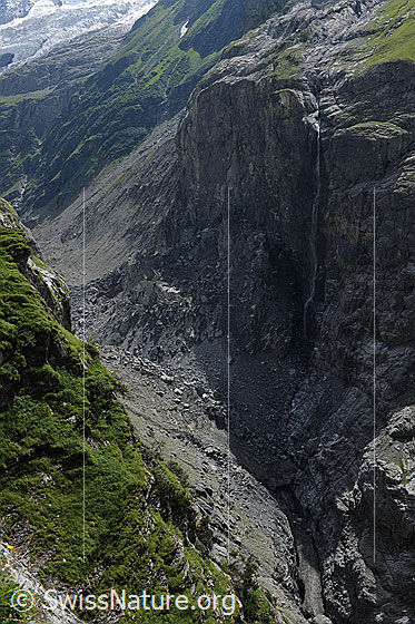 Foto: Felssturz am Eiger. Blick auf die Abbruchstelle der Schlossplatte und die Geröllmassen auf dem Toteis des unteren Grindelwaldgletschers.