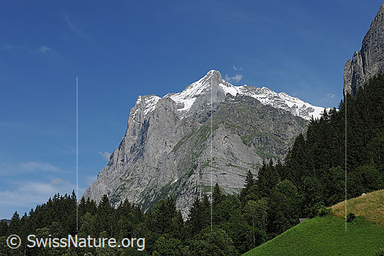 Foto: Wetterhorn von Grindelwald.