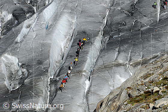 Foto: Menchen auf Gletscher unterwegs. Gruppe im Abstieg über den ausgeaperten Aletschgletscher. Seitlich verlaufen Gletscherspalten.