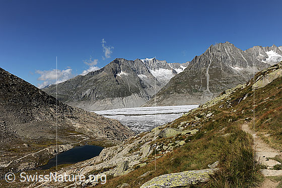 Foto: Wanderwege am Märjelesee mit Blick auf den Aletschgletscher und zu Zenbächenhorn, Geisshorn und Olmenhorn.