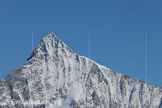 Foto: Weisshorn von SSE.
Links der oberste Teil des Schaligrats, rechts der Ostgrat (Normalroute)