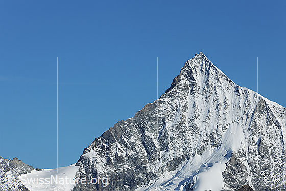 Foto: Weisshorn von SSE.
Links Schalijoch und Schaligrat, rechts der E-Grat (Normalroute).