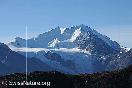 Foto: Mischabelgruppe und Riedgletscher
Gipfel: Ulrichshorn, Nadelhorn, Stecknadelhorn, Hohberghorn, Dom und Dürrenhorn.