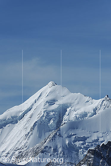 Foto: Portrait Weisshorn.
Blick vom Augstbordhorn zum Gipfelbereich des Weisshorns und den Hängegletschern des Bisgletschers in der NE-Wand des Weisshorns. Ebenfalls im Bild der Grosse Gendarme des Nordgrats.