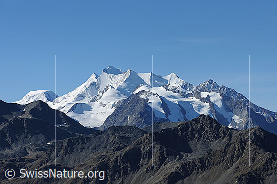 Foto: Mischabelgruppe vom Spitzhorli.
Mischabelgruppe vom Spitzhorli.
Gipfel: Alphubel, Täschhorn, Dom, Nadelhorn, Stecknadelhorn, Hohberghorn, Dürrenhorn
Gletscher: Bidergletscher, Balfringletscher