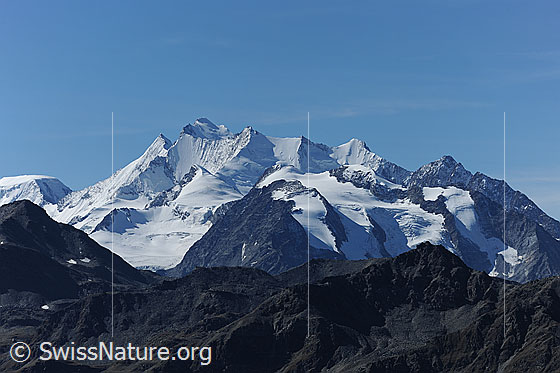 Foto: Mischabelgruppe vom Spitzhorli.
Gipfel: Täschhorn, Dom, Nadelhorn, Stecknadelhorn, Hohberghorn, Dürrenhorn
Gletscher: Bidergletscher, Balfringletscher