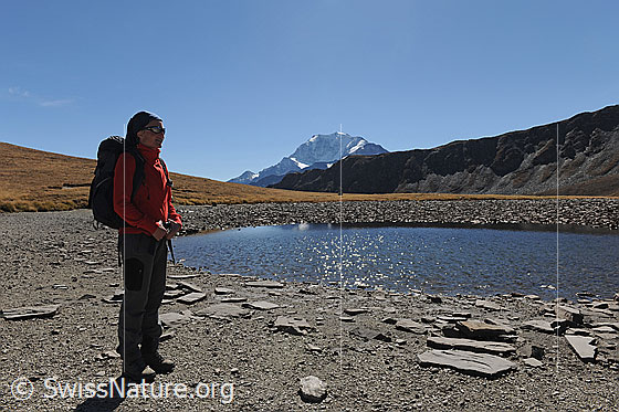 Foto: Wanderin am Undre Rossusee mit Fletschhorn im Hintergrund. Der Wasserstand im Bergsee hat durch die Trockenheit abgenommen.