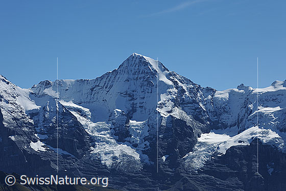 Foto: Mönch (Nordwand und Nollen). Rechts das Jungfraujoch. 
Gletscher: Eigergletscher und Guggigletscher