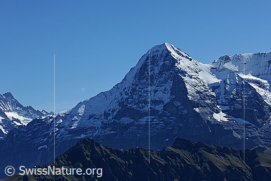 Foto: Eiger (Eigernordwand und Westflanke).
Vorgelagert: Tschuggen