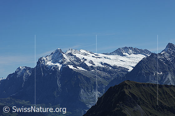 Foto: Wetterhorn, Mittelhorn, Rosenhorn und Bärglistock.
Gletscher: Oberer Grindelwaldgletscher