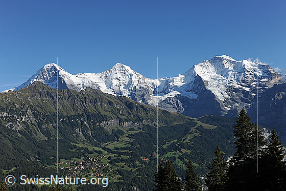 Foto: Tschuggen vor Eiger, Mönch, Jungfrau. 
Links unten im Bild ist Wengen zu sehen.
