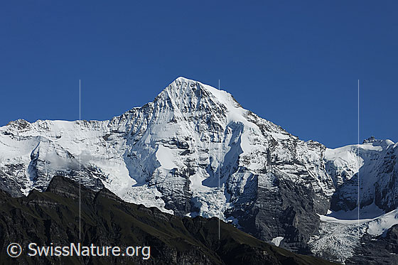 Foto: Mönch (Nordwand und Nollen). Rechts das Jungfraujoch.
Gletscher: Eigergletscher und Guggigletscher