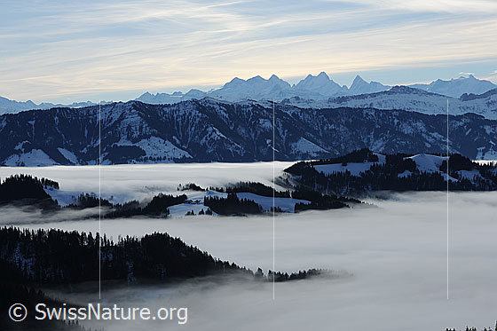 Foto: Nebelstimmung: Nebelmeer über dem Emmental. Die Hügellandschaft verschwindet im Nebel. Die Nebelgrenze gleicht einem Wasserfall, welcher sich über die Winterlandschaft ergiesst. Über der Bergkette der Berner Alpen im Hintergrund sind Schleierwolken zu sehen.