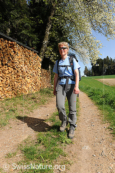 Foto: Wanderin auf Wanderweg in frühlingshafter Landschaft mit blühendem Baum. Am Waldrand ist aufgeschichtetes Holz zu sehen.