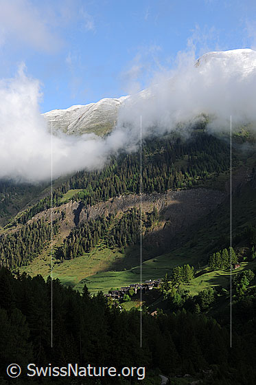 Foto: Morgenstimmung über Imfeld. Die bewaldete Landschaft ist grün und die Berggipfel sind frisch verschneit. An den Hängen über dem Bergdorf ziehen Nebelschwaden vorüber.