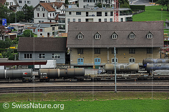 Foto: Infrastruktur: Güterzug. 
Die Bahnwagen stehen am Bahnhof bereit.
