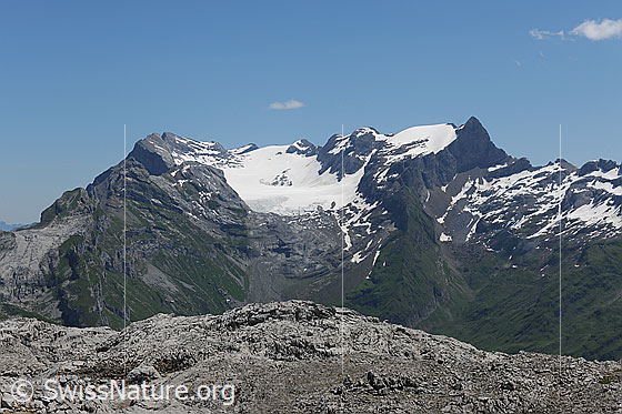 Foto: Glärnisch und Glärnischfirn von WSW.
Gipfel im Bergmassiv: Ruchen, Vrenelisgärtli und Bächistock.