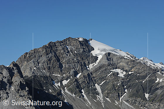 Foto: Gemsfairenstock
Gletscher: Lang Firn