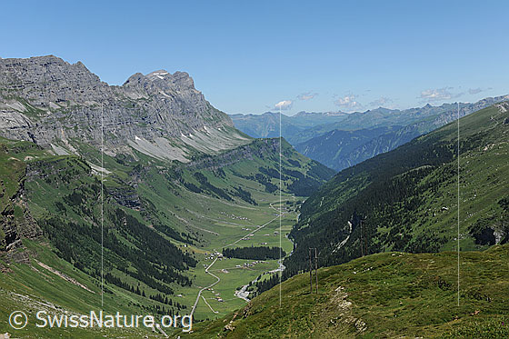 Foto: Ortstock und Urnerboden.
Sommerliche Berglandschaft mit Blick auf die grünen Alpweiden des Hochtals Urnerboden.