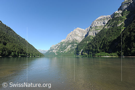 Foto: Klöntalersee mit Ruchen (Glärnisch) im Hintergrund und schwacher Spiegelung auf der Wasserfläche des Stausees.